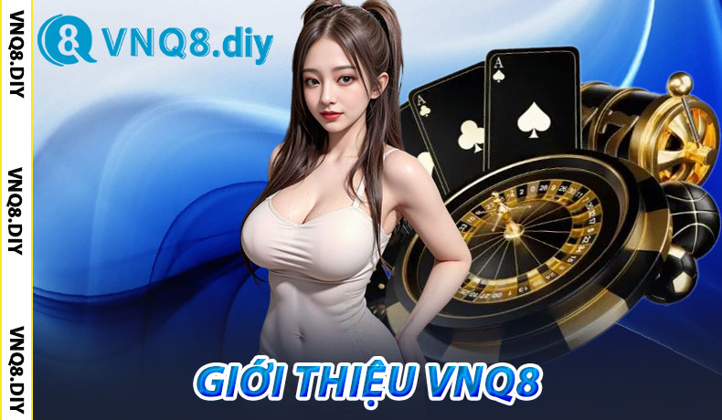 Giới thiệu VNQ8
