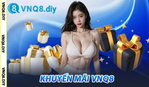 Khuyến mãi VNQ8